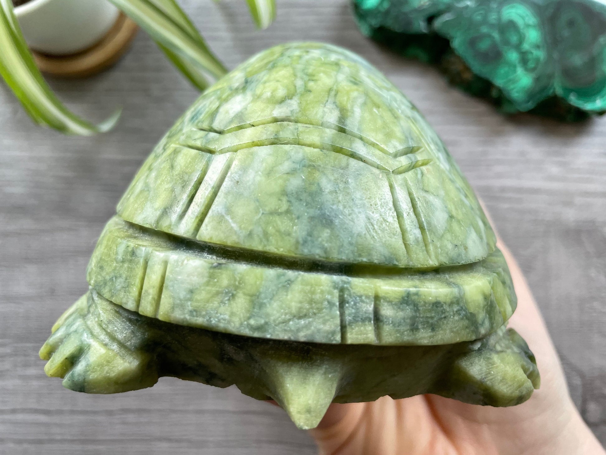 Xiuyan "Jade" Turtle 1.6kg Crystal Carving back