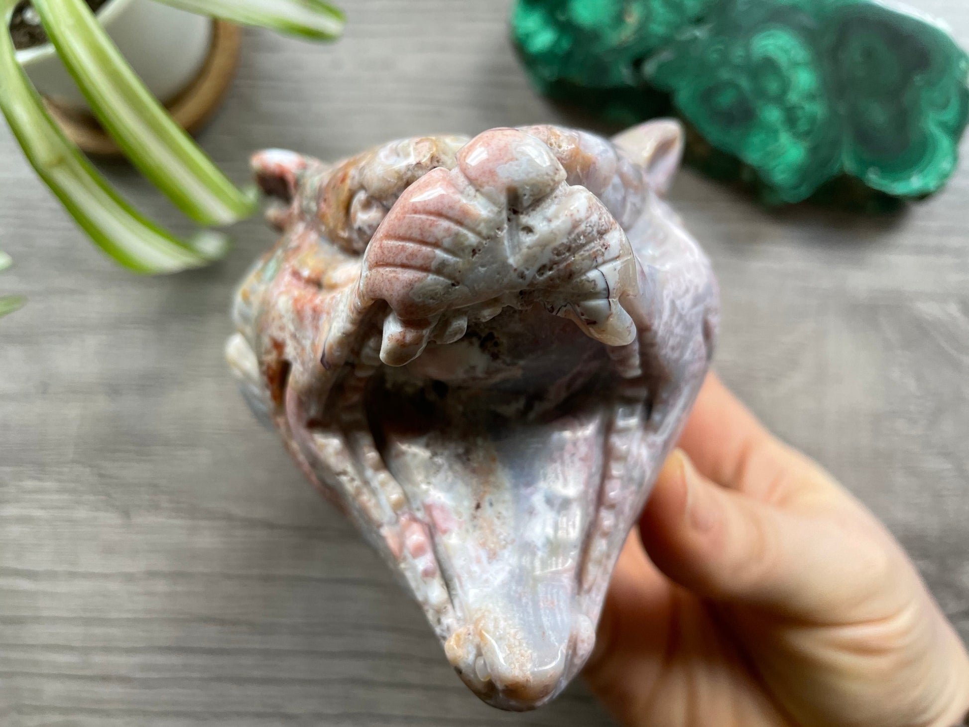 Indian Agate Roaring Tiger Head - B Crystal Carving front