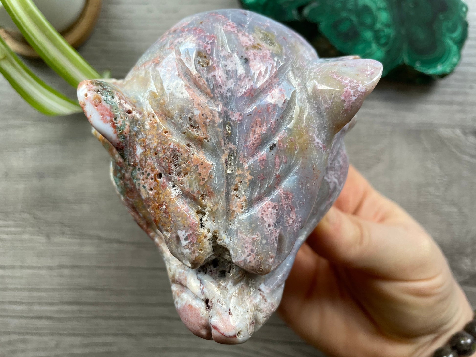 Indian Agate Roaring Tiger Head - B Crystal Carving top