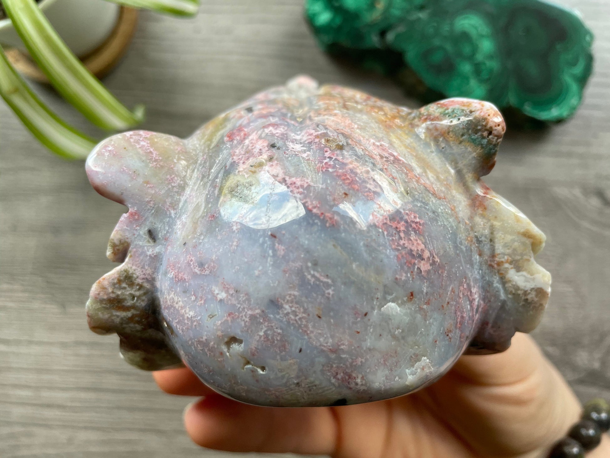 Indian Agate Roaring Tiger Head - B Crystal Carving back