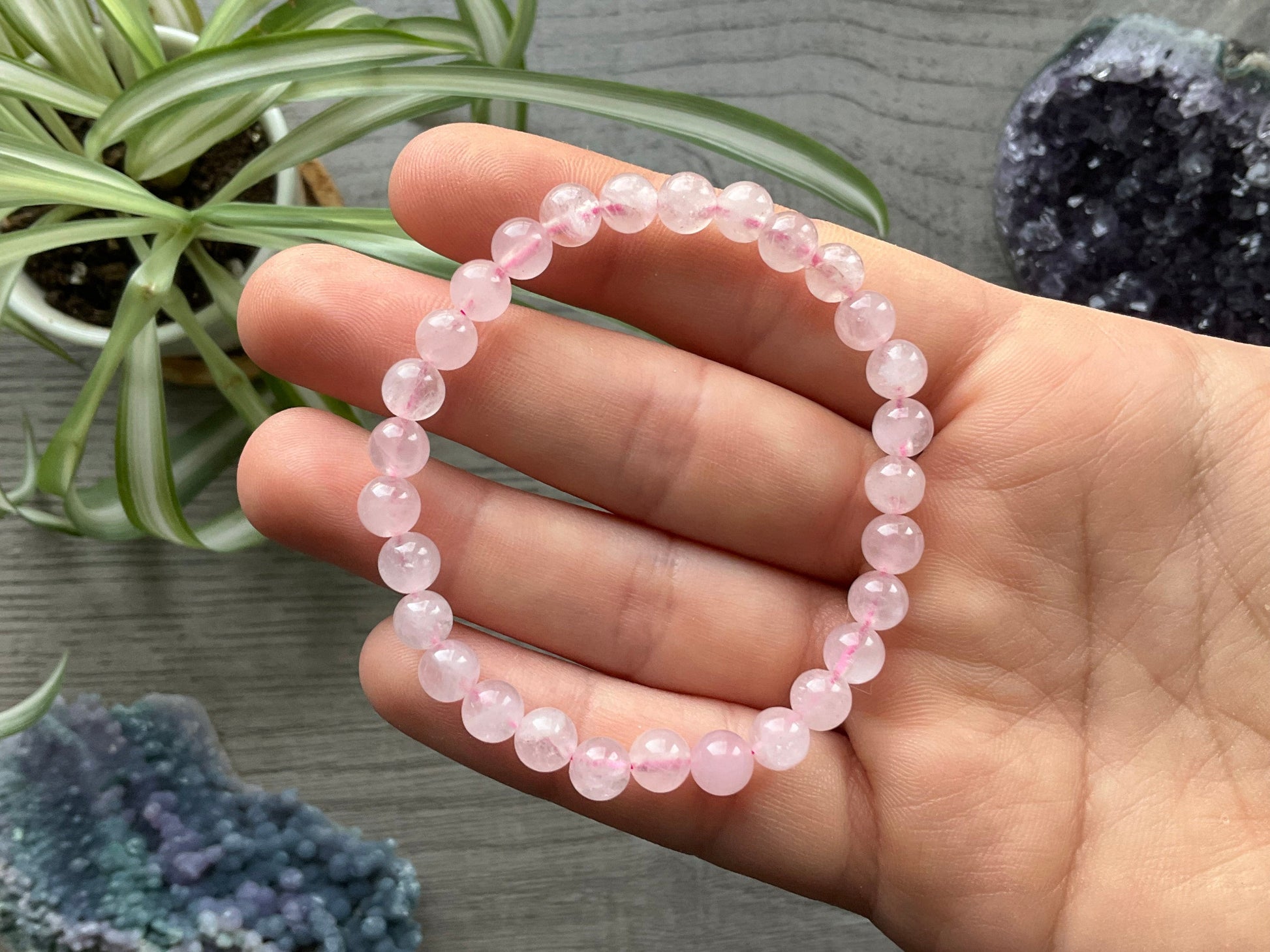 Rose Quartz Bracelet 6mm - The Wandering Fox Emporium, Your Crystal Store