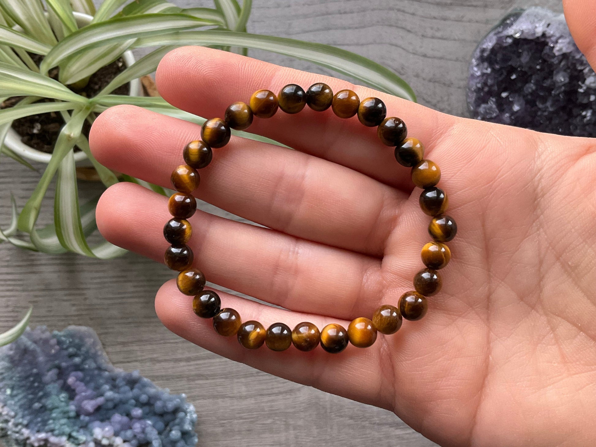 Tiger's Eye Bracelet 6mm - The Wandering Fox Emporium, Your Crystal Store
