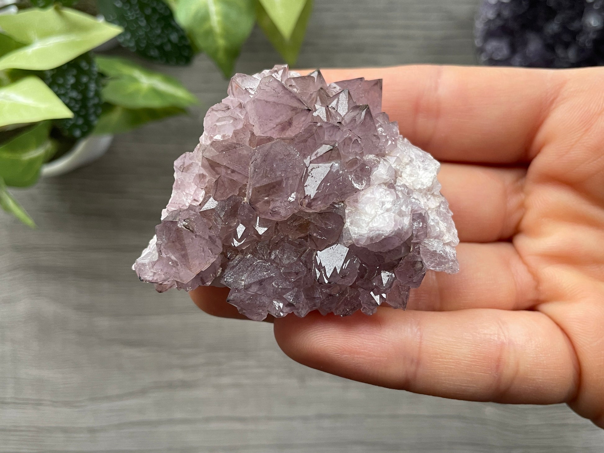 Thunder Bay Amethyst Crystal Cluster (D)