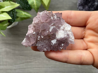 Thunder Bay Amethyst Crystal Cluster (D)