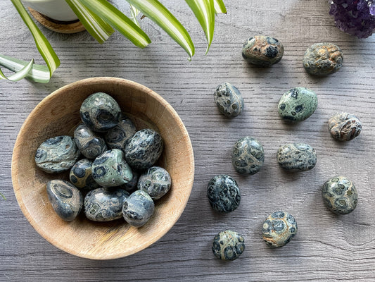 Kambaba Jasper Tumbled Stone