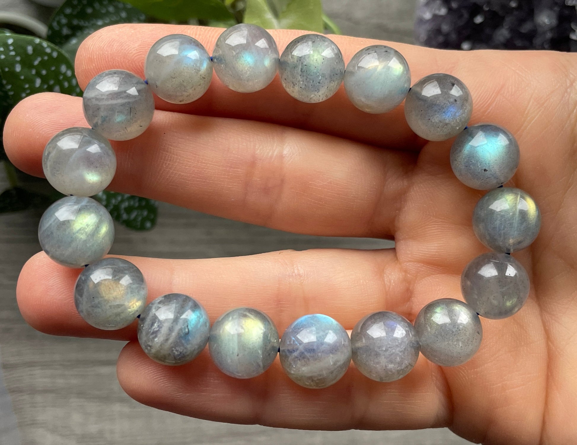 High Quality Labradorite Bracelet 12mm (A) - The Wandering Fox Emporium, Your Crystal Store