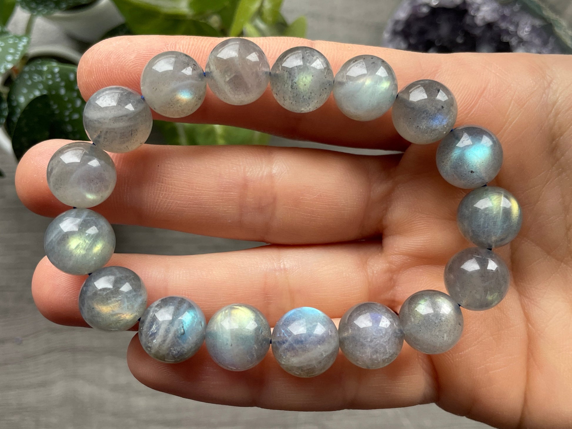 High Quality Labradorite Bracelet 12mm (A) - The Wandering Fox Emporium, Your Crystal Store close up 2