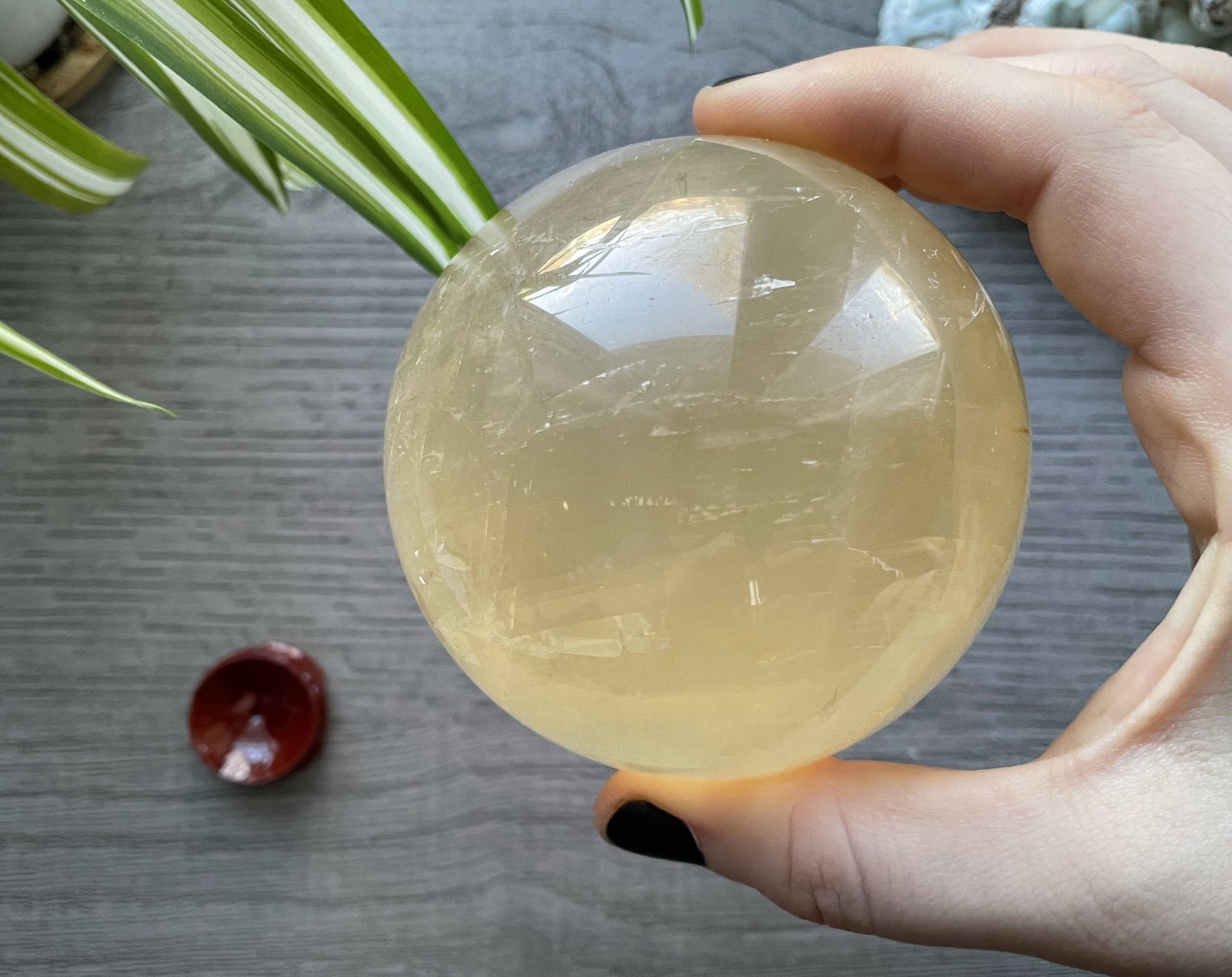 Honey Calcite Sphere - 77mm (E) - The Wandering Fox Emporium, Your Crystal Store back