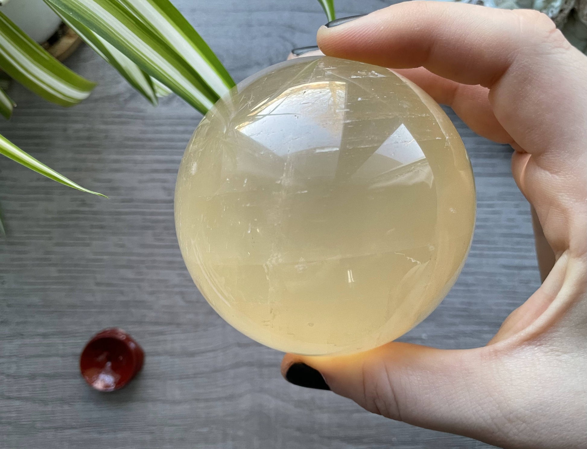 Honey Calcite Sphere - 77mm (F) - The Wandering Fox Emporium, Your Crystal Store back