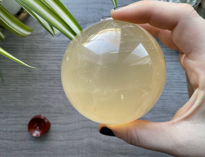 Honey Calcite Sphere - 77mm (F) - The Wandering Fox Emporium, Your Crystal Store back