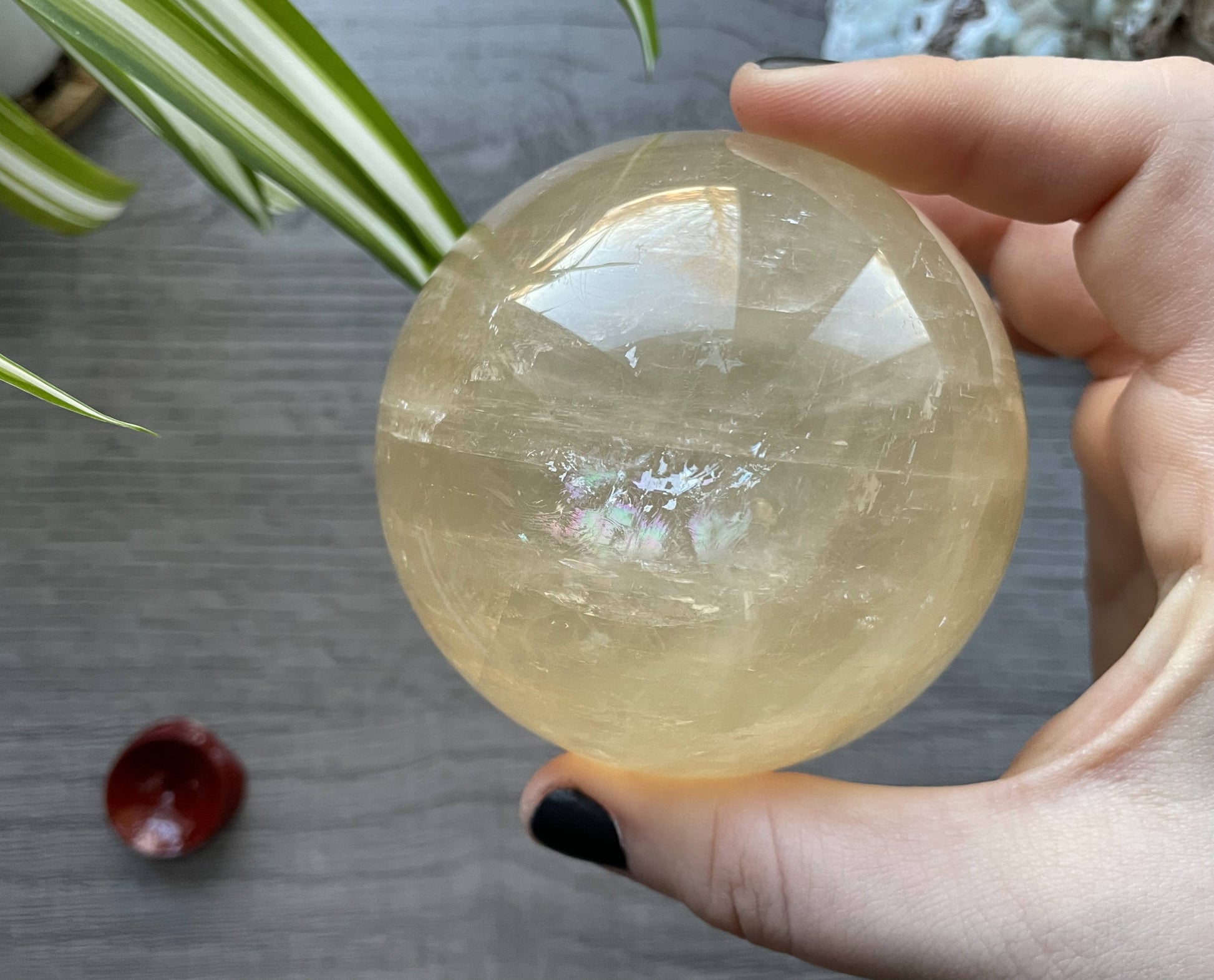 Honey Calcite Sphere - 77mm (F) - The Wandering Fox Emporium, Your Crystal Store front