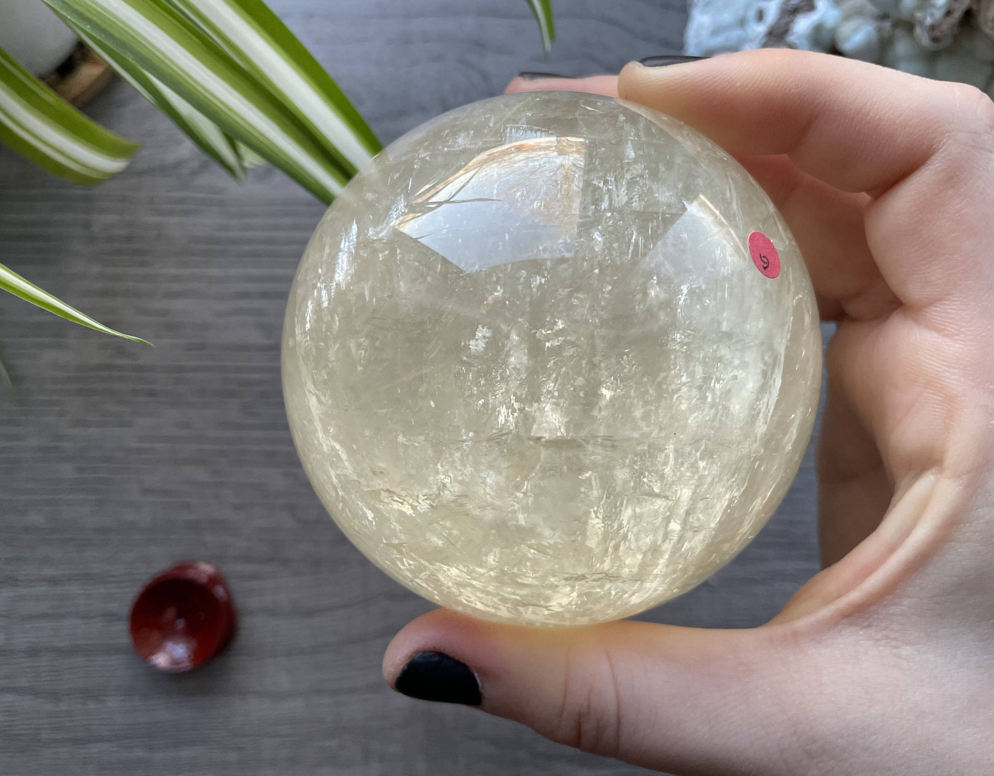 Honey Calcite Sphere - 79mm (G) - The Wandering Fox Emporium, Your Crystal Store back