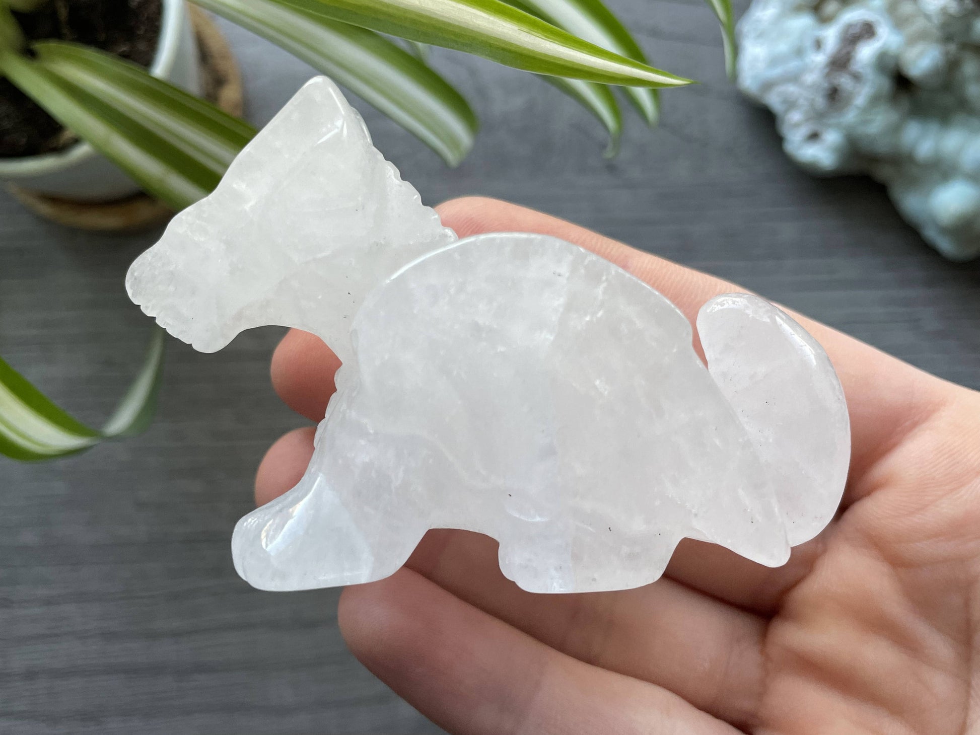 Quartz Dragon (B) Crystal Carving, side