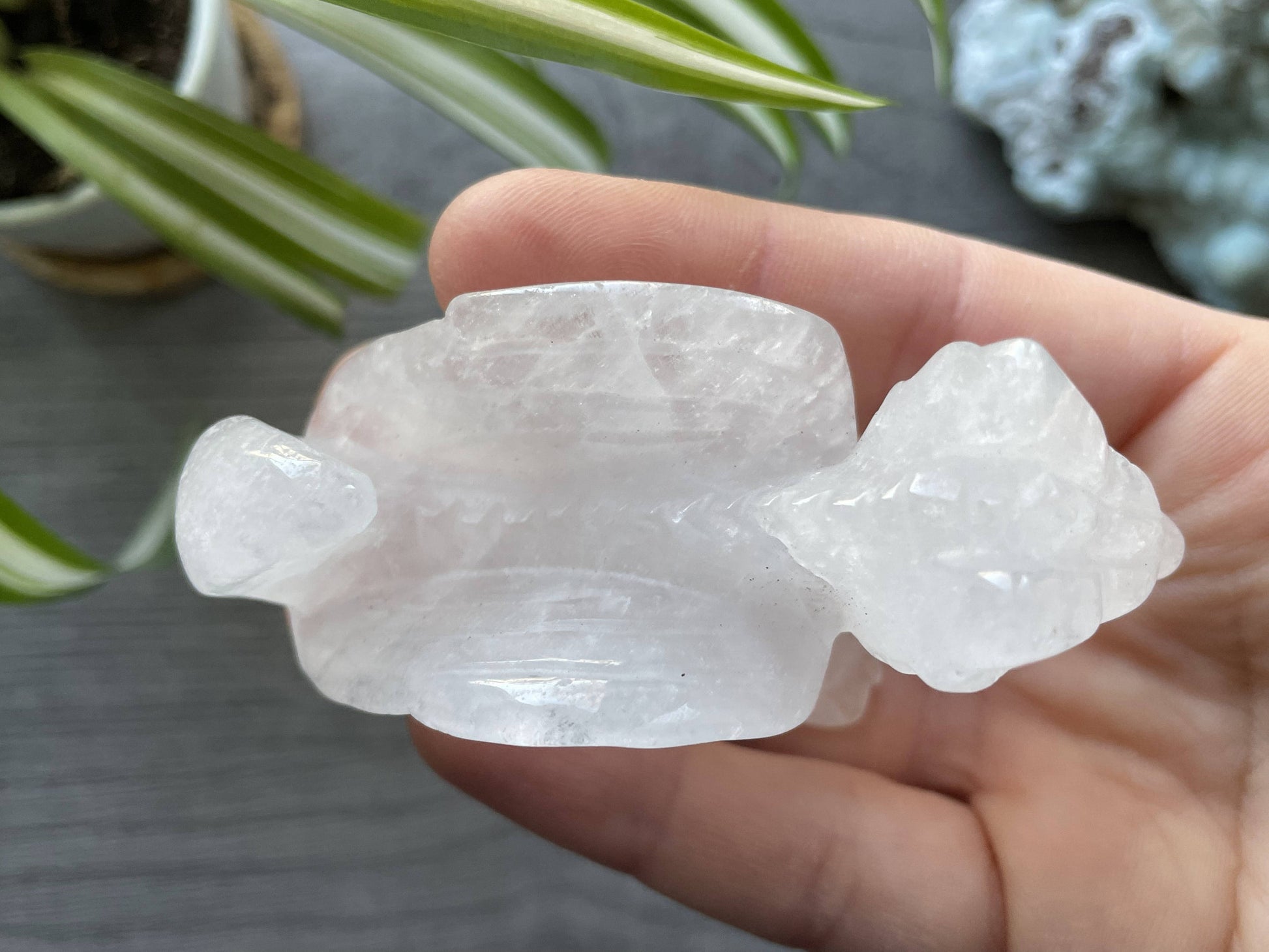 Quartz Dragon (B) Crystal Carving, top