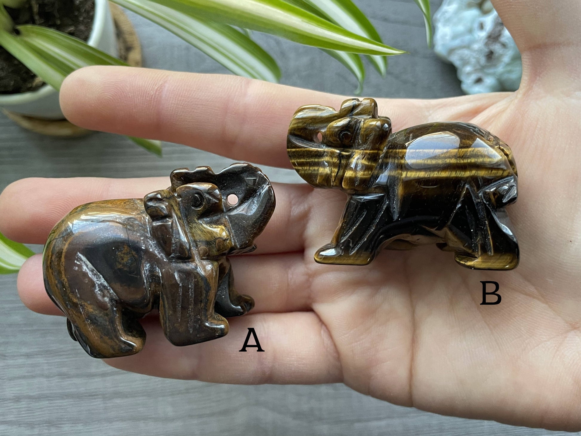 Tiger's Eye Elephant (5cm) Crystal Carving, front