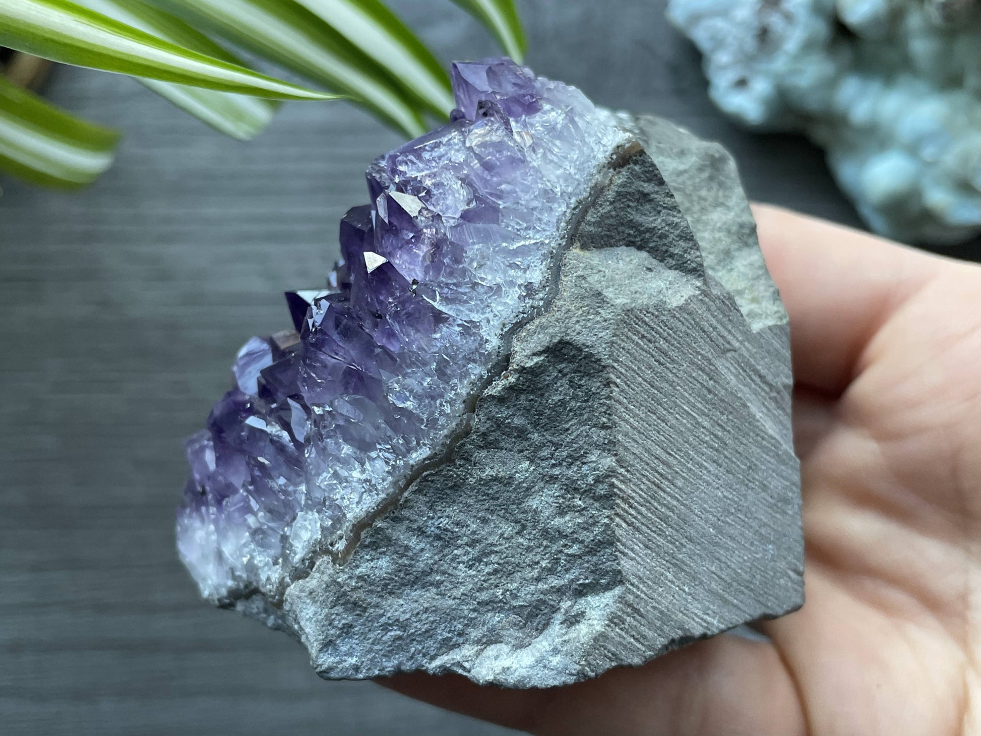 Uruguayan Amethyst Crystal Mini Cut Base - C side