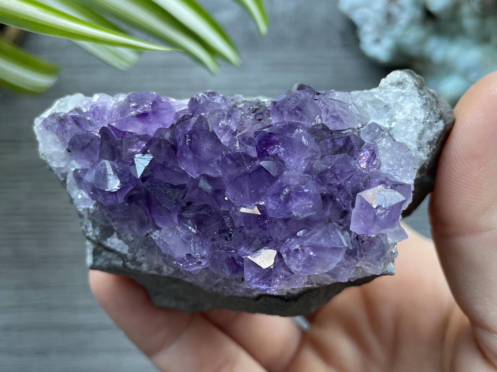 Uruguayan Amethyst Crystal Mini Cut Base - C top