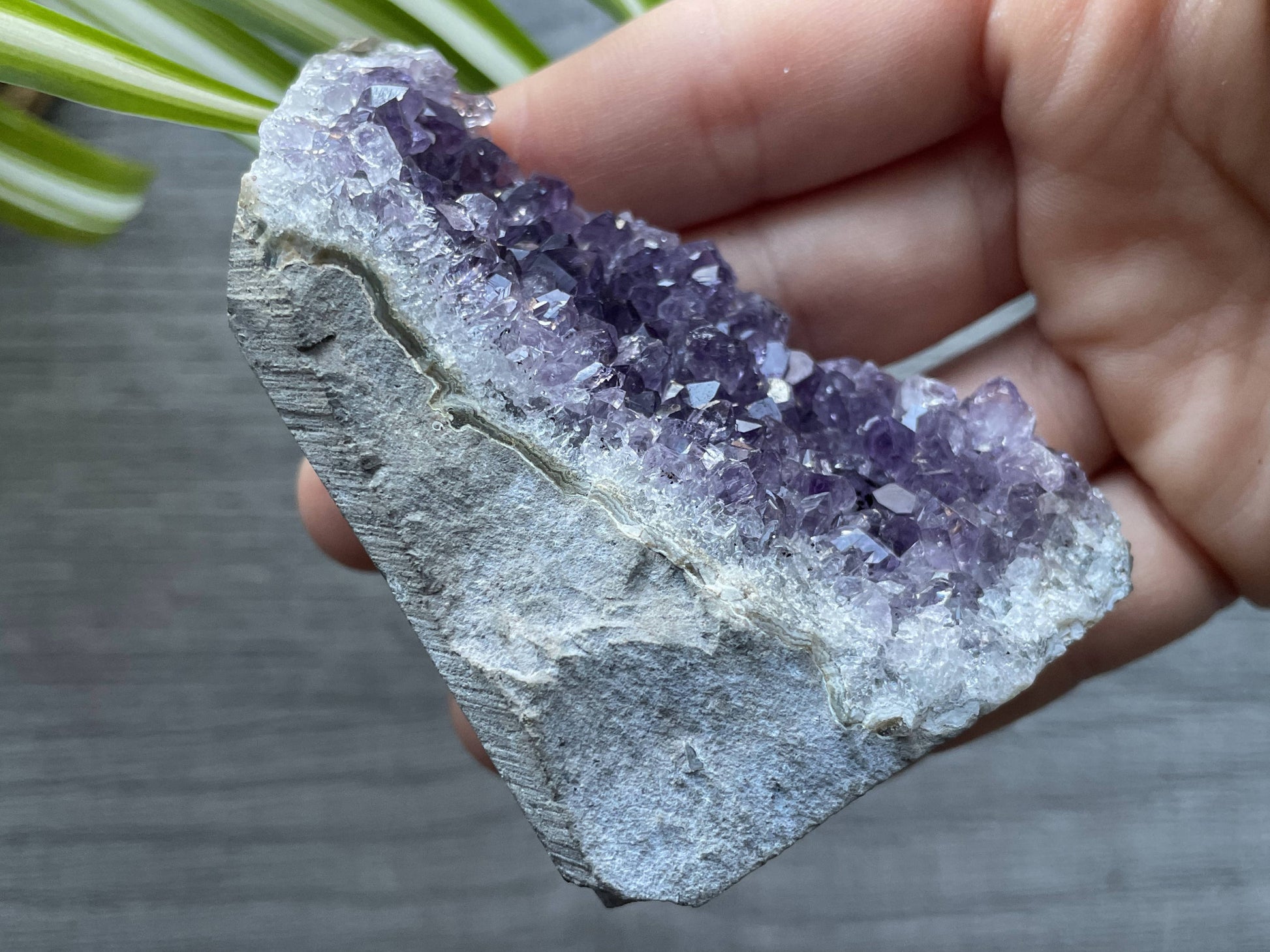 Uruguayan Amethyst Crystal Mini Cut Base - D side