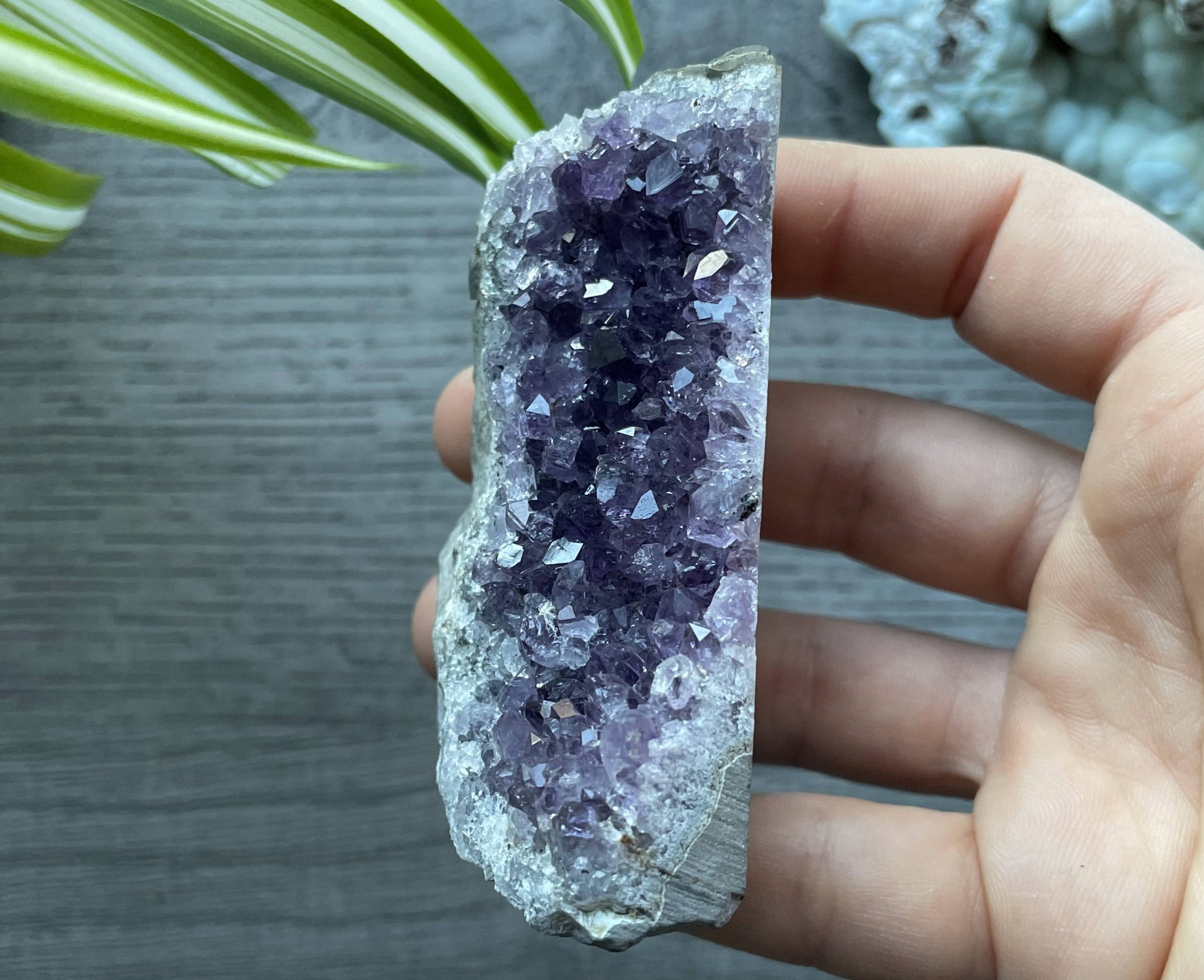 Uruguayan Amethyst Crystal Mini Cut Base - D top