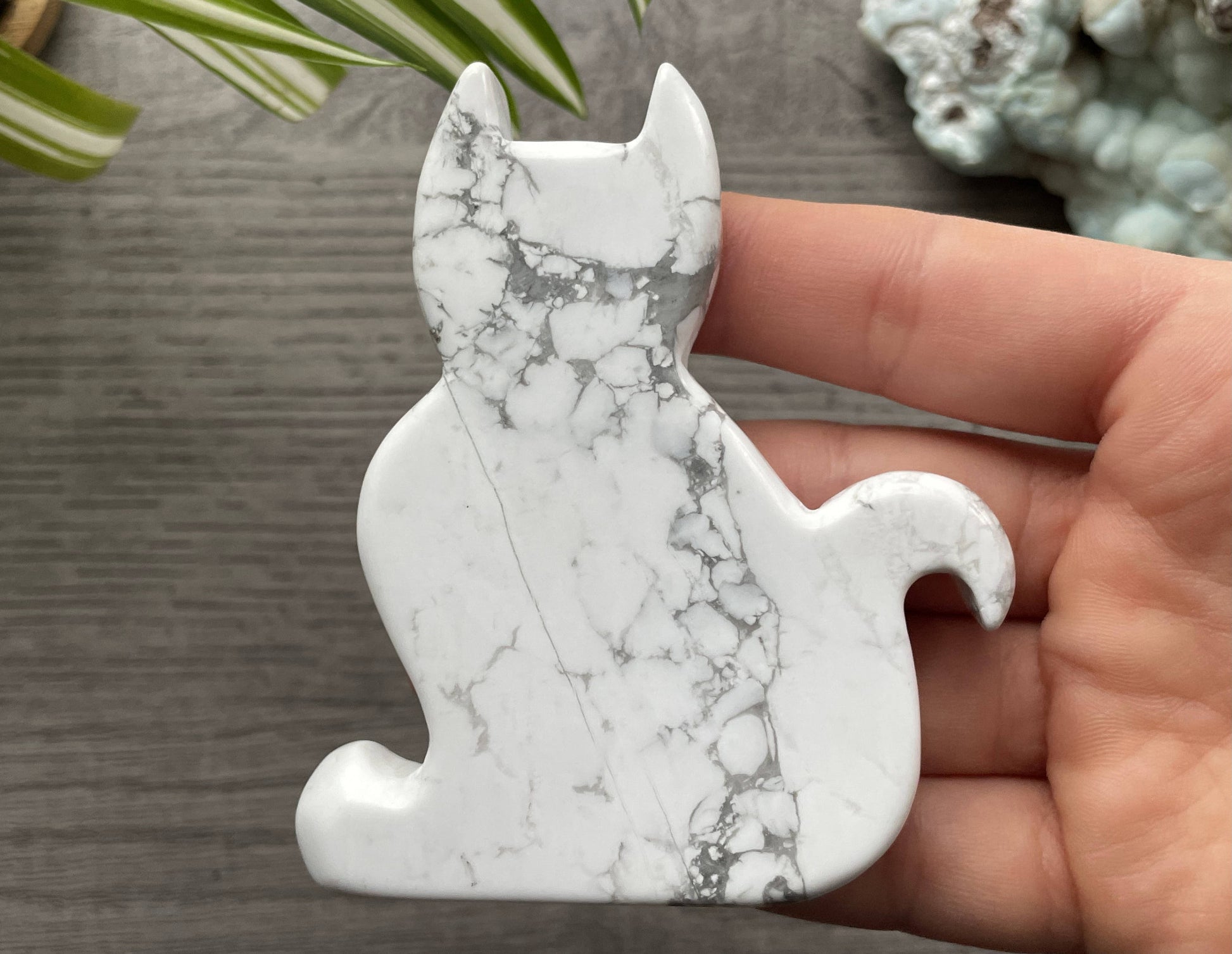 Howlite Cat Slab Crystal Carving (A) front