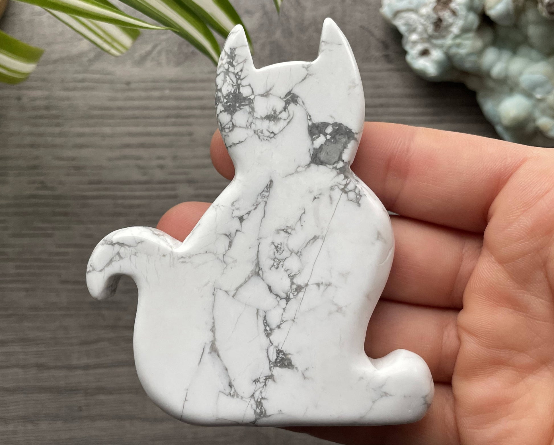 Howlite Cat Slab Crystal Carving (A) back