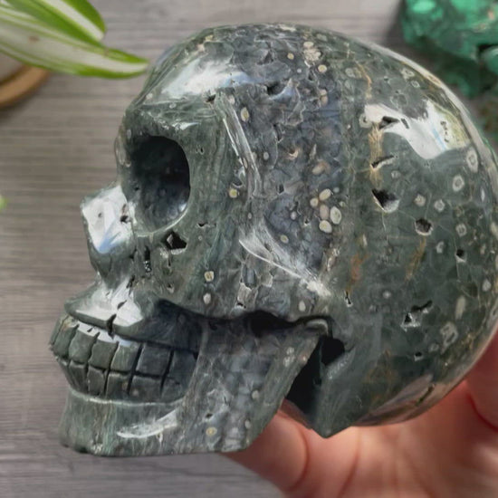 Pictured is a large skull carved out of ocean jasper or river jasper. Ocean Jasper Crystal Skull .95kg - The Wandering Fox Emporium, Your Metaphysical Store video
