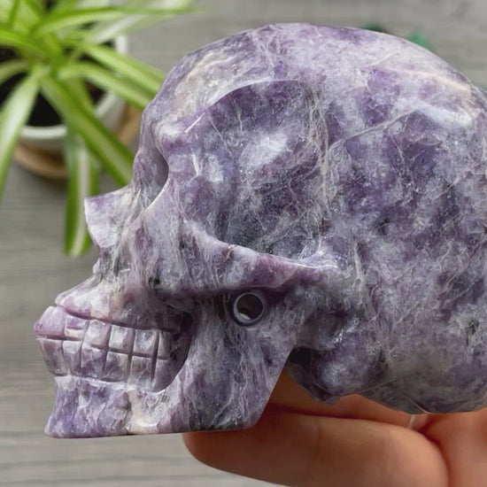 Lepidolite Crystal Skull .5kg - The Wandering Fox Emporium, Your Metaphysical Store video