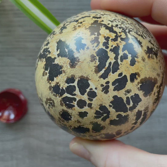 Chinese Painting Stone Sphere - 70mm - The Wandering Fox Emporium, Your Crystal Store video