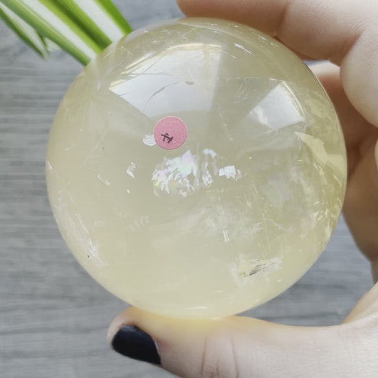 Honey Calcite Sphere - 70mm (H) - The Wandering Fox Emporium, Your Crystal Store video