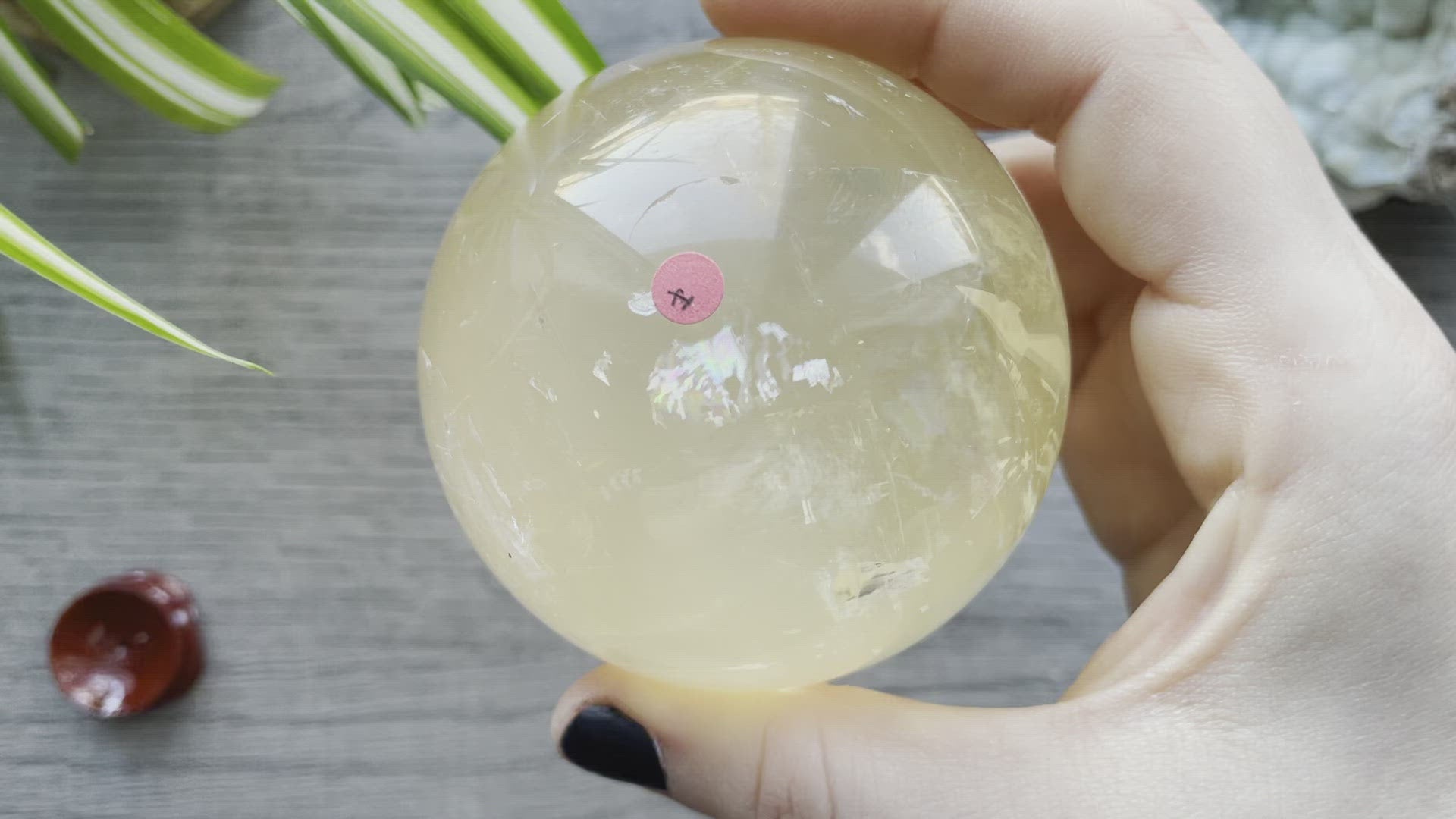 Honey Calcite Sphere - 70mm (H) - The Wandering Fox Emporium, Your Crystal Store video