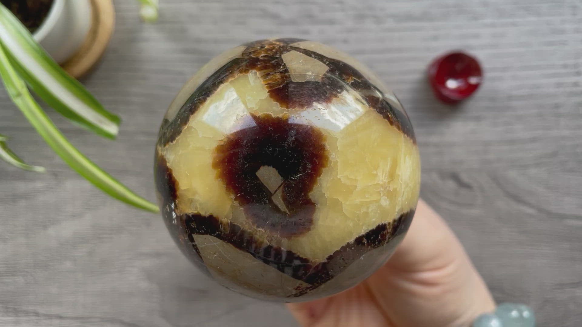 Septarian Sphere 70mm - The Wandering Fox Emporium, Your Crystal Store video
