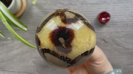 Septarian Sphere 70mm - The Wandering Fox Emporium, Your Crystal Store video