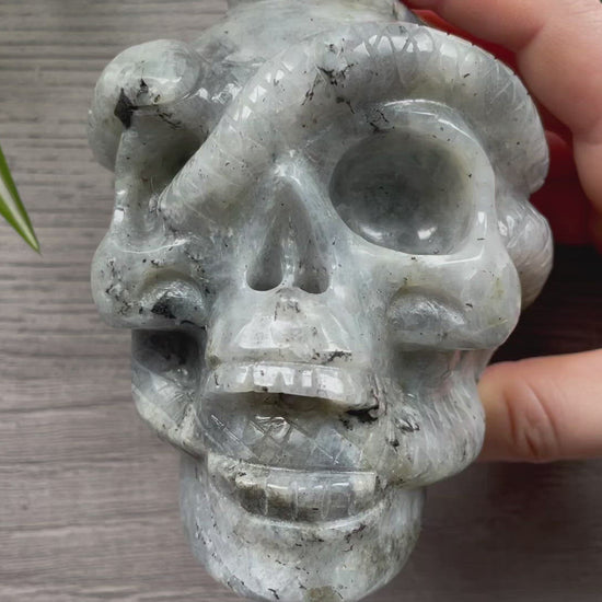 Labradorite Skull with Snakes 1kg - The Wandering Fox Emporium, Your Crystal Store video