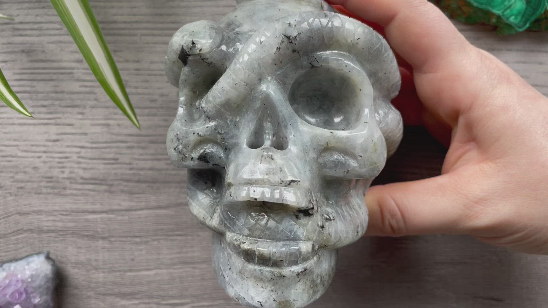 Labradorite Skull with Snakes 1kg - The Wandering Fox Emporium, Your Crystal Store video