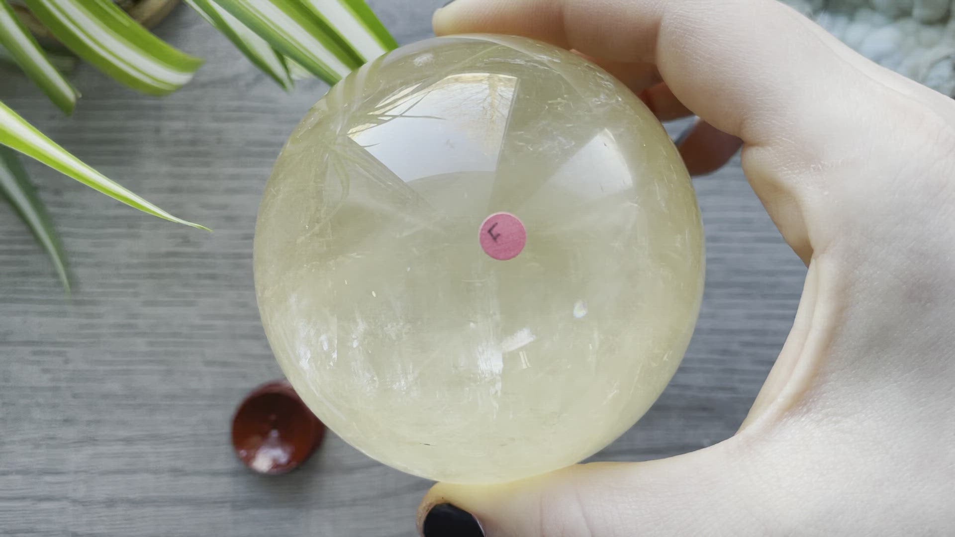 Honey Calcite Sphere - 77mm (F) - The Wandering Fox Emporium, Your Crystal Store video