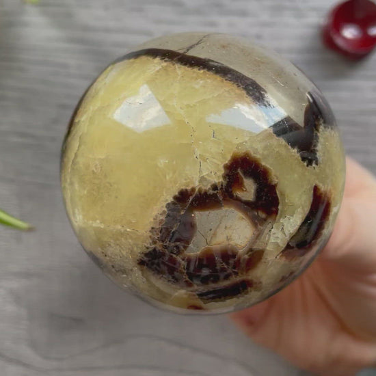 Septarian Sphere 62mm - The Wandering Fox Emporium, Your Crystal Store video
