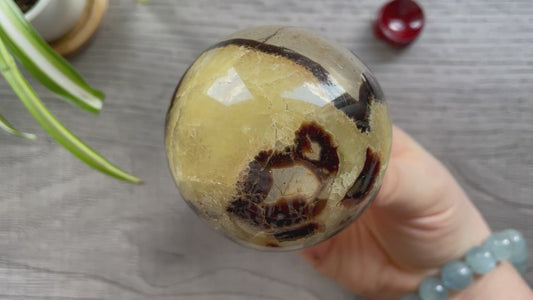 Septarian Sphere 62mm - The Wandering Fox Emporium, Your Crystal Store video